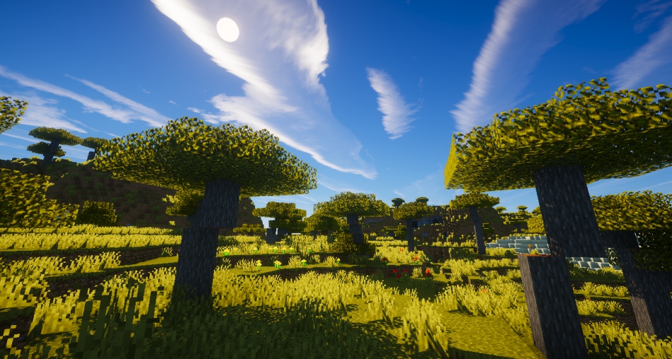 Ebin-Shaders-3